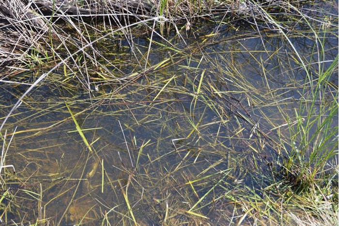 Still Water 250 ml - AK8008