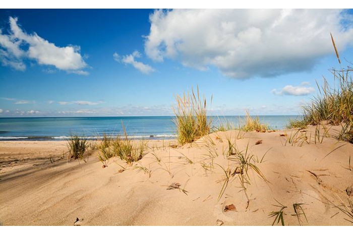 Terrains Beach Sand 250ml - AK8019