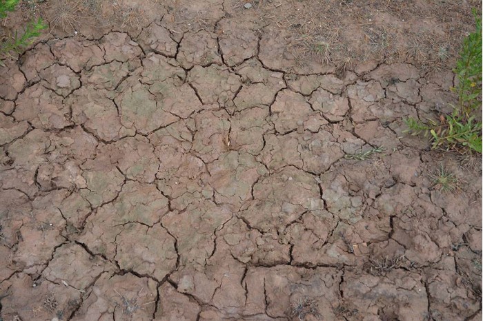 Wet Crackle Effects 100ml - AK8034