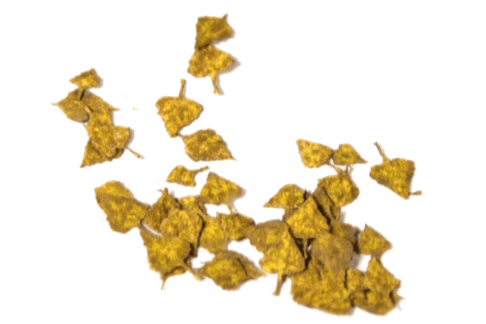 Březové listí podzim (Birch autumn) - 1:35 - 8102