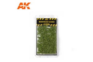 Letní bukové listoví (Beech Foliage Summer) - 8145