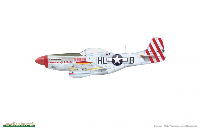 P-51D Mustang (1:48) - 82102