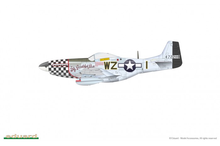 P-51D Mustang (1:48) - 82102