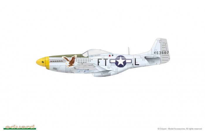 P-51D Mustang (1:48) - 82102