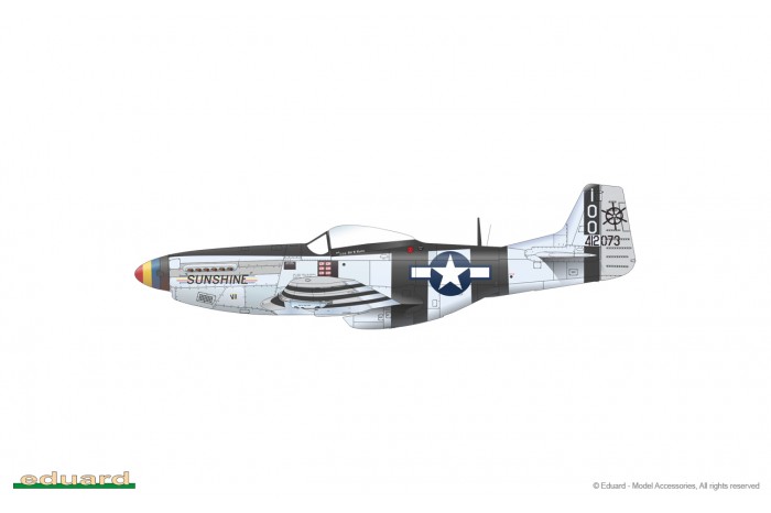 P-51K Mustang (1:48) - 82105