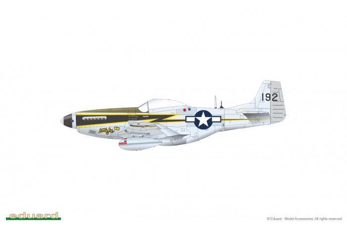 P-51K Mustang (1:48) - 82105