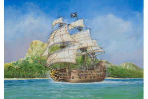 Black Swan (1:72) -9031