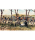 NAPOLEONIC WARS: FRENCH INFANTRY (1:72) - 6066