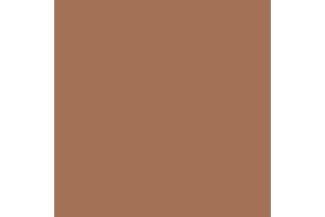 4305AP - Flat Light Brown 20ml - akryl