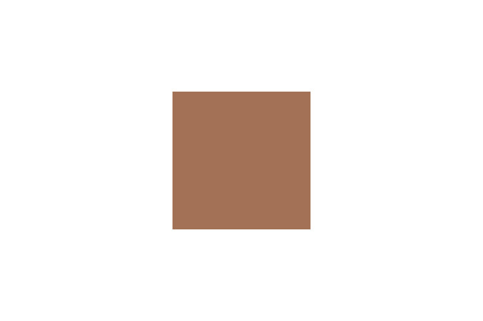 4305AP - Flat Light Brown 20ml - akryl
