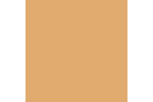 4603AP - Flat Skin Tone Warm Tint 20ml - akryl