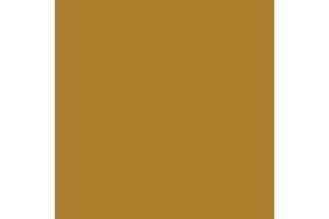 4672AP - Gloss Brass 20ml - akryl