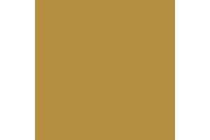 4673AP - Flat Wood 20ml - akryl