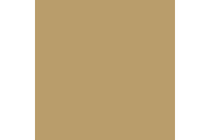 4720AP - Flat Sand 20ml - akryl