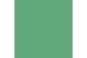 4739AP - Flat Pale Green 20ml - akryl