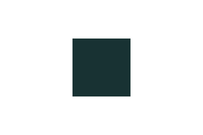 4780AP - Schwarzgrün RLM 70 20ml - akryl