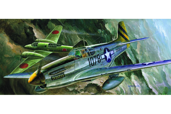 P-51C (1:72) - 12441
