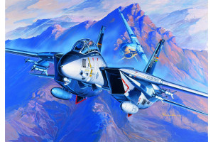 F-14A (1:72) - 12471