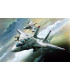 F-14 (1:144) - 12608