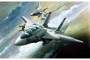 F-14 (1:144) - 12608