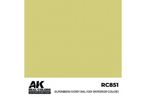 Elfenbein-Ivory RAL 1001 (Interior Color) - RC851