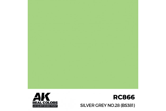 Silver Grey No.28 (BS381) - RC866