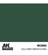 Dull Dark Green FS 34092 - RC902