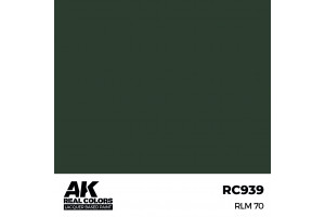 RLM 70 - RC939