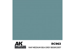 RAF Medium Sea Grey BS381C/637 - RC963